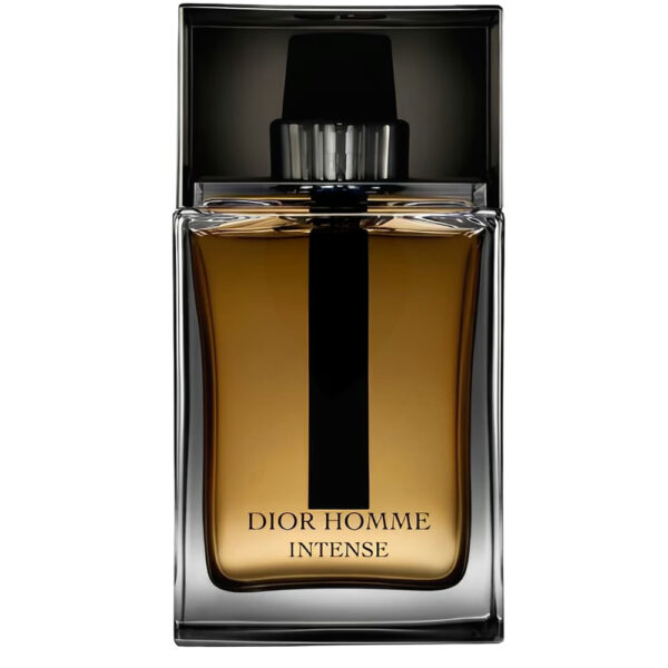 Dior Homme Intense 2011 Dior for men 100ml